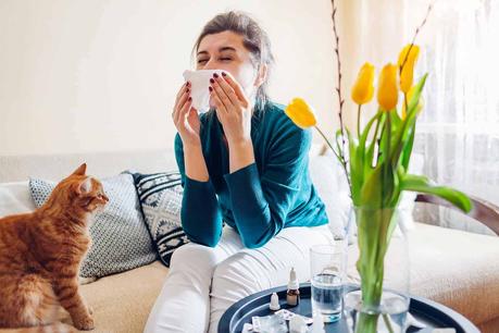 Sneezing woman with tissues on sofa, surrounded by cats, feeling sick, indicating allergy or cold.