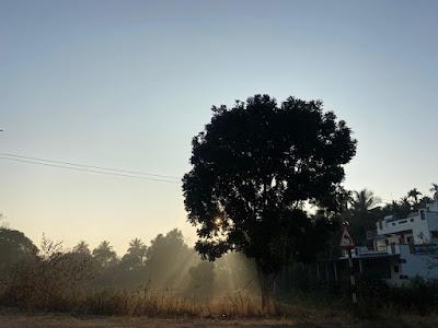 Last trails of the winter of Bengaluru