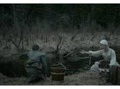 Presents Beneath Tree