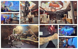 Dinosaurs Extinctions Us Review