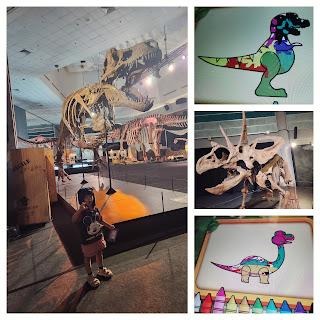 Dinosaurs Extinctions Us Review