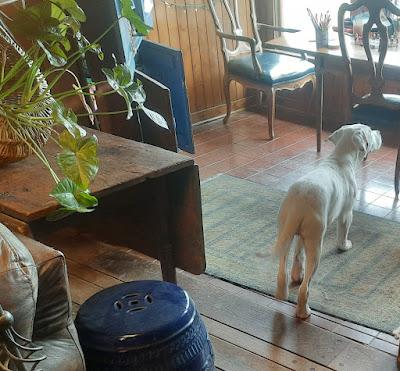 And Another Snow Day