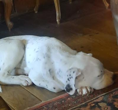 And Another Snow Day