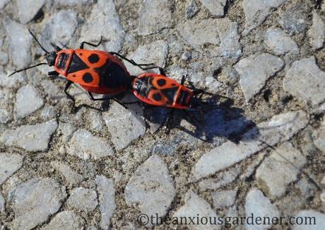 A Postcard From Poland