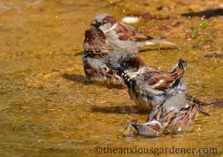 A Postcard From Poland