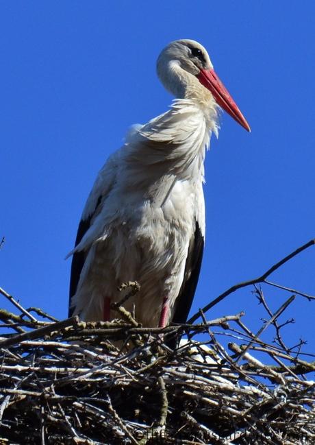 A Postcard From Poland