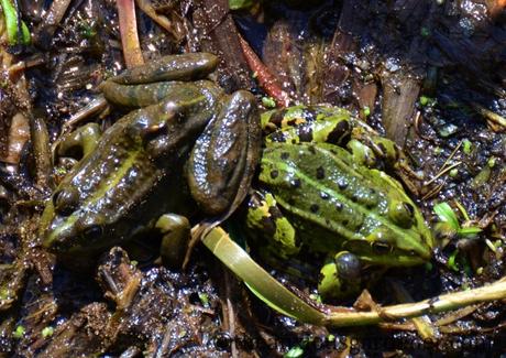 A Postcard From Poland