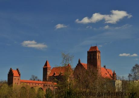 A Postcard From Poland