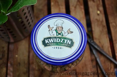 A Postcard From Poland