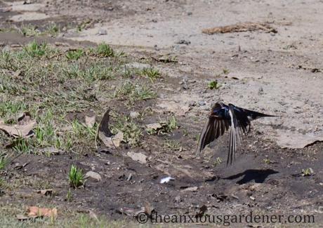 A Postcard From Poland