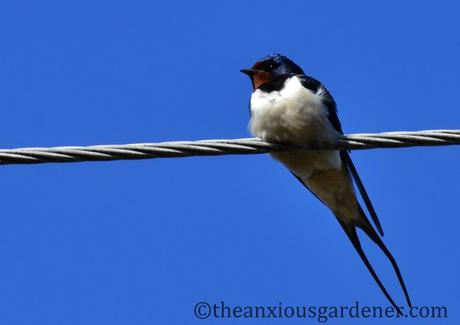 A Postcard From Poland