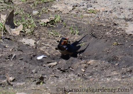 A Postcard From Poland