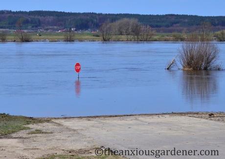 A Postcard From Poland