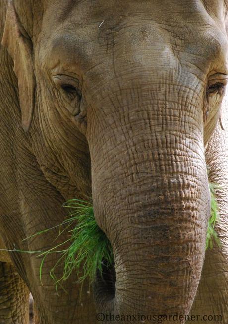 Angle Shades And A Competition