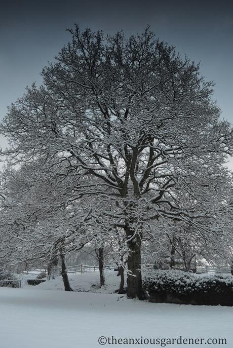 A Look Back At Winter