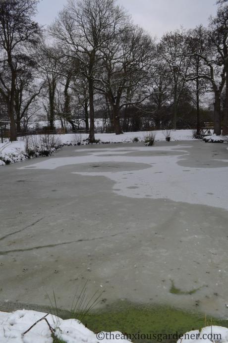 A Look Back At Winter