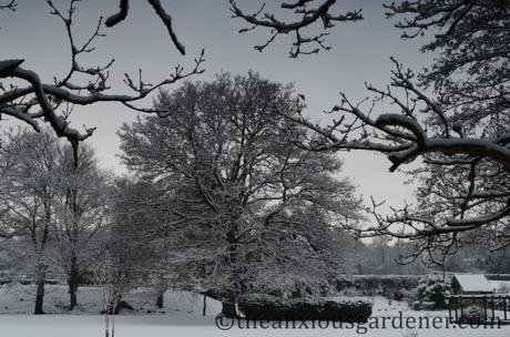 A Look Back At Winter