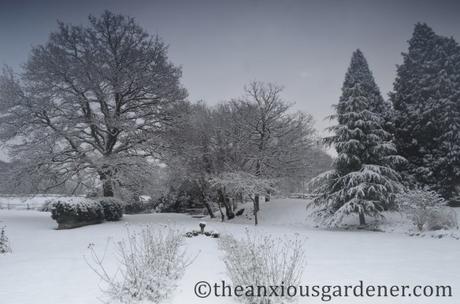 A Look Back At Winter