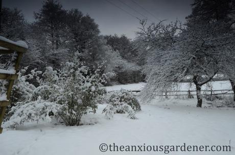 A Look Back At Winter