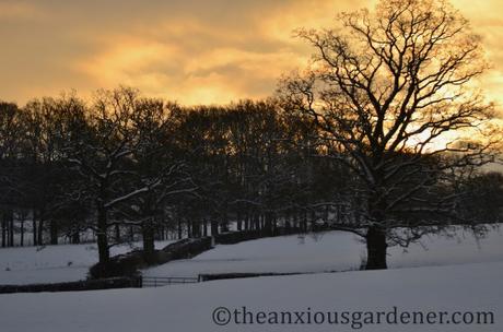 A Look Back At Winter