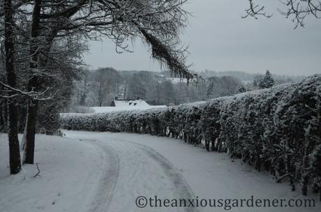 A Look Back At Winter