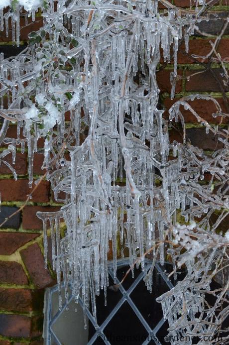 A Look Back At Winter