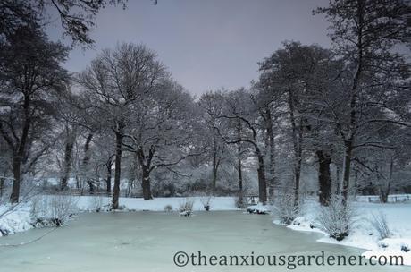 A Look Back At Winter