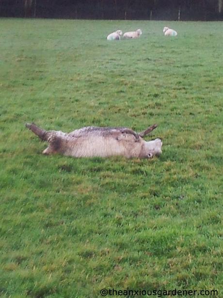 Keeping Busy, Keeping Warm