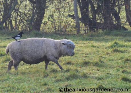 Keeping Busy, Keeping Warm