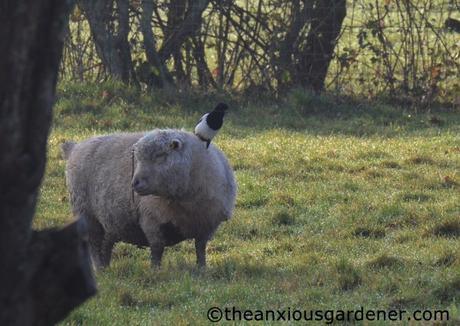 Keeping Busy, Keeping Warm