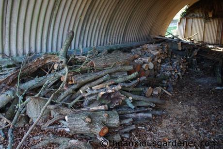 Keeping Busy, Keeping Warm