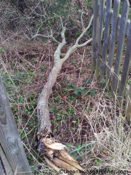 Keeping Busy, Keeping Warm