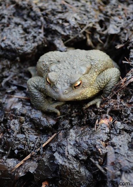 Keeping Busy, Keeping Warm