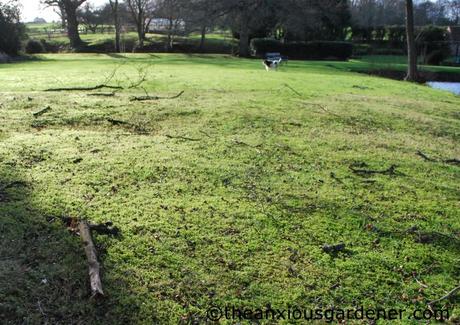 Keeping Busy, Keeping Warm