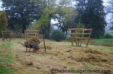 Cutting the Flower Meadow