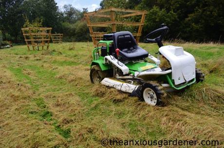Cutting the Flower Meadow