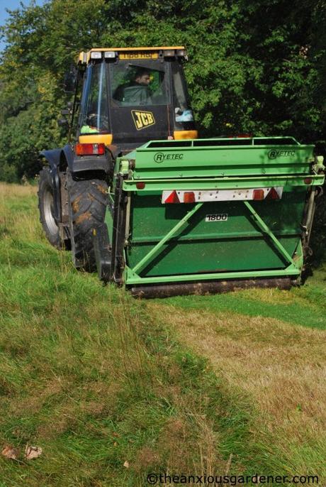Cutting the Flower Meadow