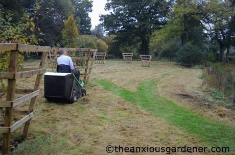 Cutting the Flower Meadow