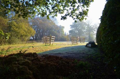 Cutting the Flower Meadow