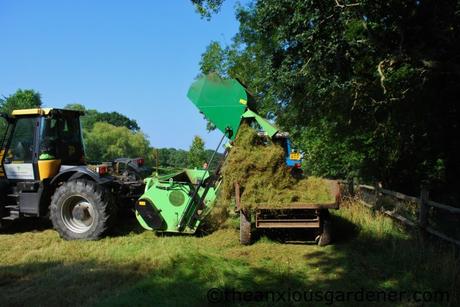 Cutting the Flower Meadow