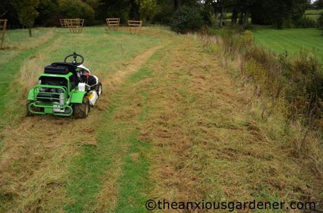 Cutting the Flower Meadow