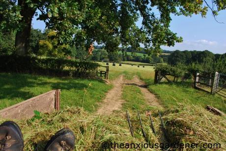 Cutting the Flower Meadow