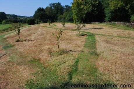 Cutting the Flower Meadow