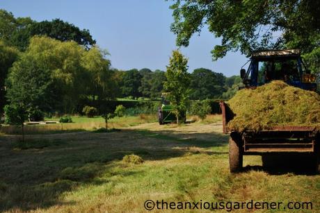 Cutting the Flower Meadow