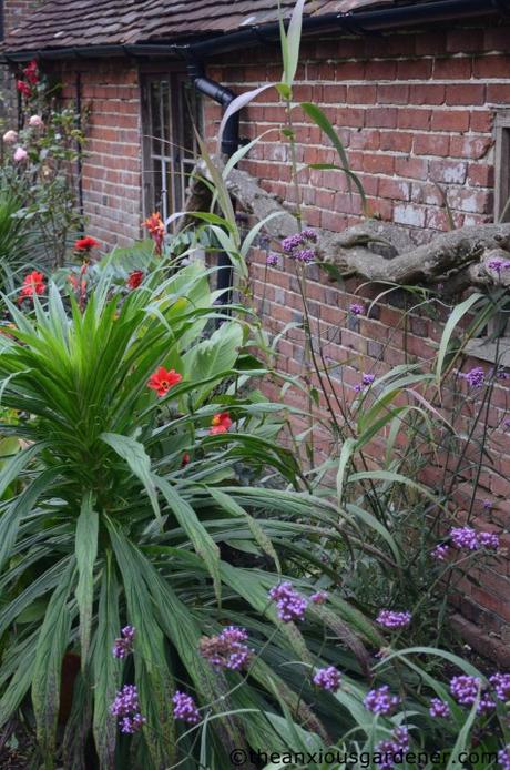 The Tropical Border Revisited