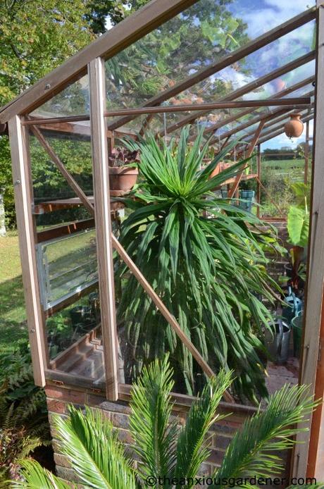 The Tropical Border Revisited