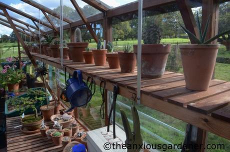 Greenhouse Maintenance