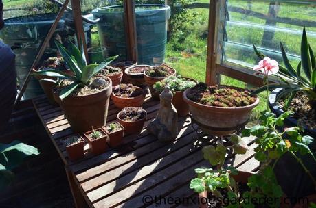 Greenhouse Maintenance