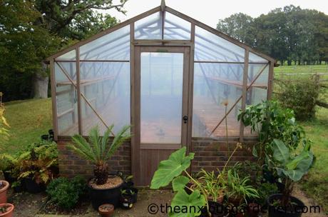 Greenhouse Maintenance