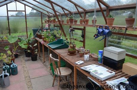 Greenhouse Maintenance
